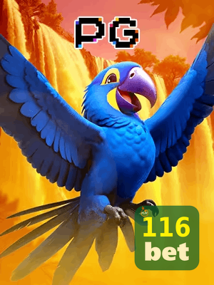 116BET bônus — cashback 15 por cento e níveis VIP