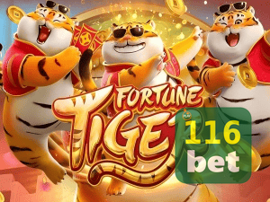 Guia install APK 116BET BR